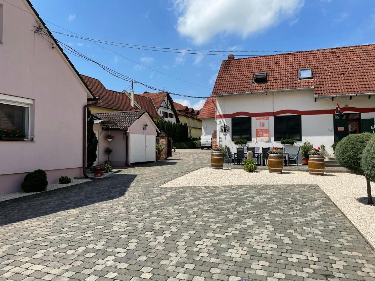 Mayer Pince Panzio Villany Exterior photo